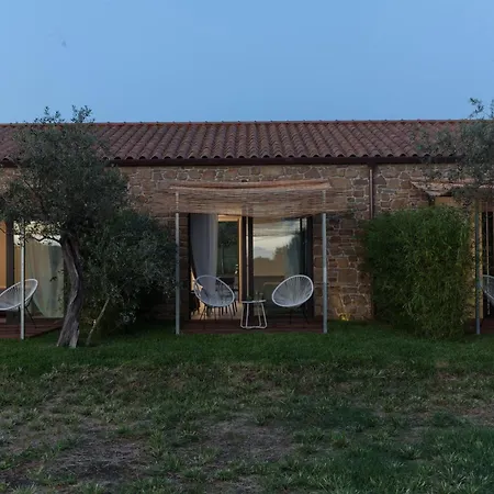 Domus In Area *